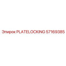 57169385 PLATELOCKING Epiroc