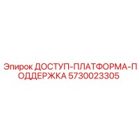 5730023305 ДОСТУП-ПЛАТФОРМА-ПОДДЕРЖКА | Epiroc