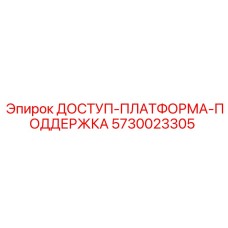 5730023305 ДОСТУП-ПЛАТФОРМА-ПОДДЕРЖКА | Epiroc
