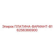 6256366900 ПЛАТИНА-ВАРИАНТ-B1 Epiroc