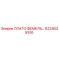 6224529100 ПЛАТО ФЕМЕЛЬ Epiroc