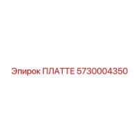 5730004350 ПЛАТТЕ Epiroc