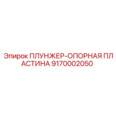9170002050 ПЛУНЖЕР-ОПОРНАЯ ПЛАСТИНА Epiroc