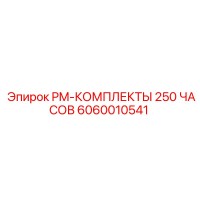6060010541 PM-КОМПЛЕКТЫ 250 ЧАСОВ Epiroc