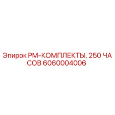 6060004006 PM-КОМПЛЕКТЫ, 250 ЧАСОВ Epiroc