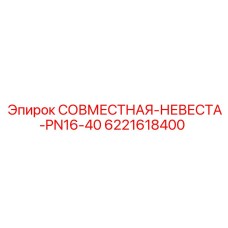 6221618400 СОВМЕСТНАЯ-НЕВЕСТА-PN16-40 Epiroc