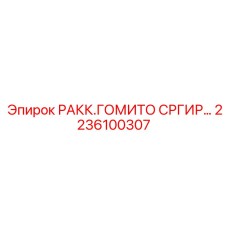 2236100307 РАКК.ГОМИТО СРГИР… Эпирок | Угловой адаптер Epiroc для буровой техники