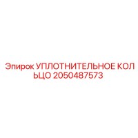 2050487573 УПЛОТНИТЕЛЬНОЕ КОЛЬЦО Epiroc