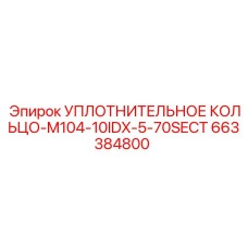 663384800 УПЛОТНИТЕЛЬНОЕ КОЛЬЦО-M104-10IDX-5-70SECT Epiroc