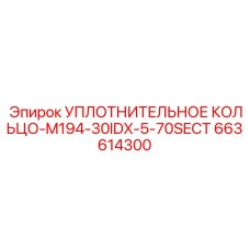 663614300 УПЛОТНИТЕЛЬНОЕ КОЛЬЦО-M194-30IDX-5-70SECT Epiroc