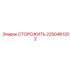 2250461202 СТОРОЖИТЬ Epiroc