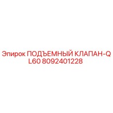 Оригинальный подъемный клапан Epiroc 8092401228 QL60 в разрезе