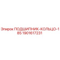 1901617231 ПОДШИПНИК-КОЛЬЦО-185 Epiroc