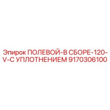 9170306100 ПОЛЕВОЙ-В СБОРЕ-120-V-С УПЛОТНЕНИЕМ Epiroc
