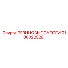 9106022028 РЕЗИНОВЫЕ САПОГИ Epiroc