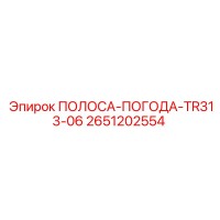 2651202554 ПОЛОСА-ПОГОДА-TR313-06 Epiroc