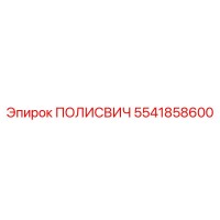 5541858600 ПОЛИСВИЧ Epiroc