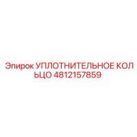 4812157859 УПЛОТНИТЕЛЬНОЕ КОЛЬЦО Epiroc