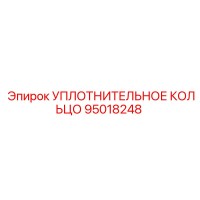 95018248 УПЛОТНИТЕЛЬНОЕ КОЛЬЦО Epiroc