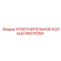 95070264 УПЛОТНИТЕЛЬНОЕ КОЛЬЦО Эпирок