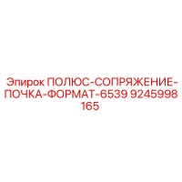 9245998165 ПОЛЮС-СОПРЯЖЕНИЕ-ПОЧКА-ФОРМАТ-6539 Epiroc