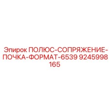 9245998165 ПОЛЮС-СОПРЯЖЕНИЕ-ПОЧКА-ФОРМАТ-6539 Epiroc