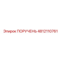 4812110761 PORUCHEN Epiroc
