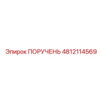 4812114569 PORUCHEN Epiroc