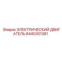 8440301381 ЭЛЕКТРИЧЕСКИЙ ДВИГАТЕЛЬ Epiroc