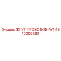 4812005592 ЖГУТ ПРОВОДОВ-W1 Epiroc