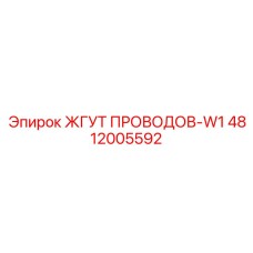 4812005592 ЖГУТ ПРОВОДОВ-W1 Epiroc