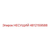 4812159588 НЕСУЩИЙ Epiroc