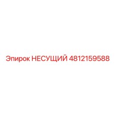 4812159588 НЕСУЩИЙ Epiroc
