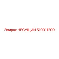 510011200 НЕСУЩИЙ Эпирок
