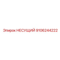 9106244222 НЕСУЩИЙ Epiroc