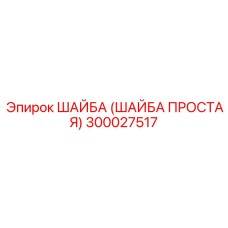 300027517 ШАЙБА (ШАЙБА ПРОСТАЯ) Epiroc