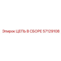 57129108 ЦЕПЬ В СБОРЕ Epiroc