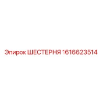 1616623514 ШЕСТЕРНЯ Epiroc