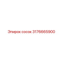 3176665900 Сосок Epiroc