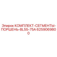 6259069800 КОМПЛЕКТ-СЕГМЕНТЫ-ПОРШЕНЬ-BL55-75A Epiroc