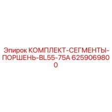 6259069800 КОМПЛЕКТ-СЕГМЕНТЫ-ПОРШЕНЬ-BL55-75A Epiroc