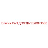 1628671500 КАП ДОЖДЬ Epiroc
