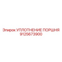 9125673900 УПЛОТНЕНИЕ ПОРШНЯ Epiroc