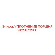 9125673900 УПЛОТНЕНИЕ ПОРШНЯ Epiroc