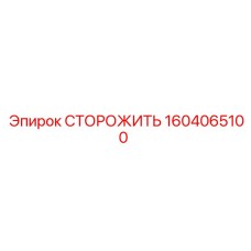 1604065100 СТОРОЖИТЬ Epiroc