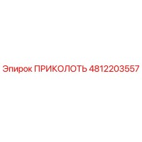 4812203557 ПРИКОЛОТЬ (Epiroc)