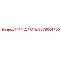5573001700 ПРИКОЛОТЬ Epiroc