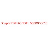 5580003010 ПРИКОЛОТЬ Epiroc