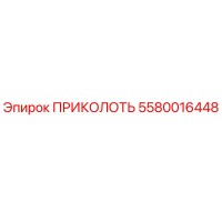 5580016448 ПРИКОЛОТЬ Epiroc