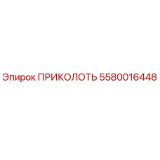 5580016448 ПРИКОЛОТЬ Epiroc